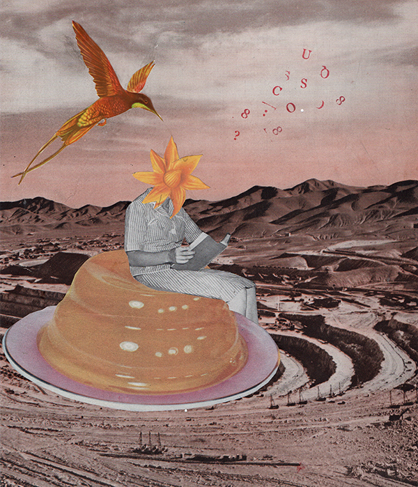 Suave Saber, colagem Pati Peccin © 2019